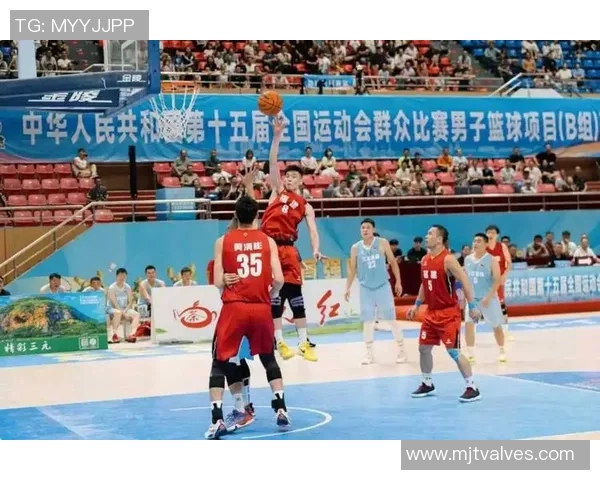 国内明星热衷篮球赛现场观看分享精彩瞬间引发粉丝热议